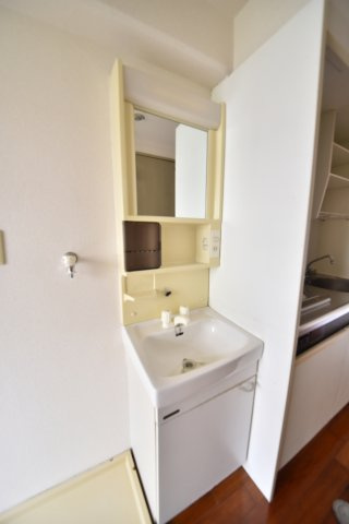 エスティージュンの洗面所