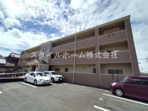 アンピレインの画像