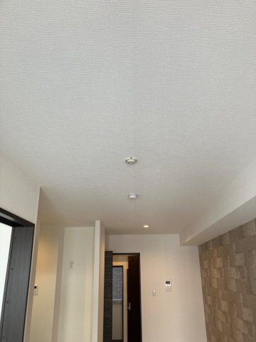 Emigrantのその他