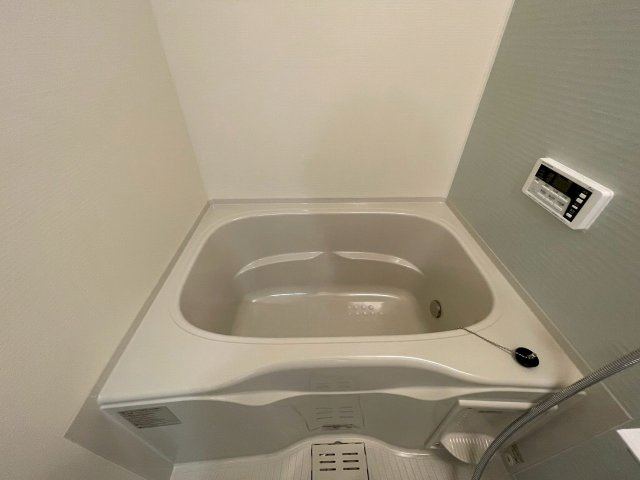 Alivis Shimo-Shinjo SoL TERRACEの浴室