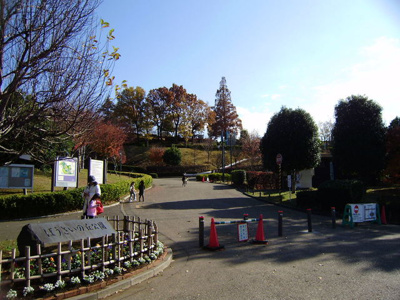 ぼうさいの丘公園まで300ｍ