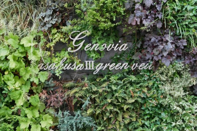 ジェノヴィア浅草Ⅲグリーンヴェールの外観