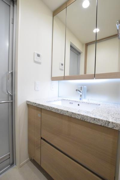 ＢｒｉｌｌｉａＴｏｗｅｒｓ目黒ノースレジデンスの洗面所