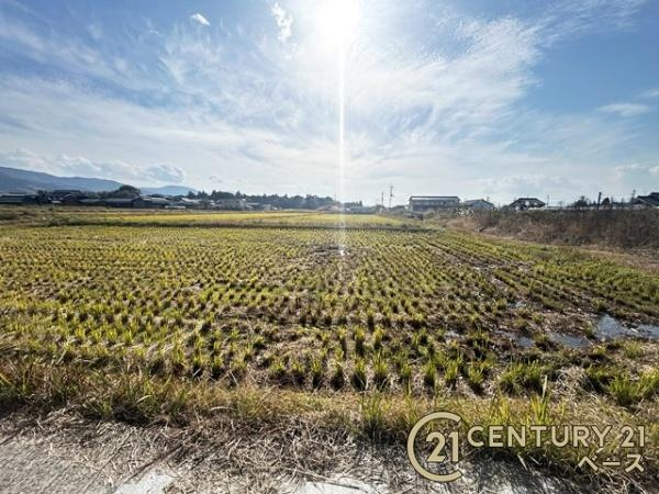 天理市兵庫町の売地のその他