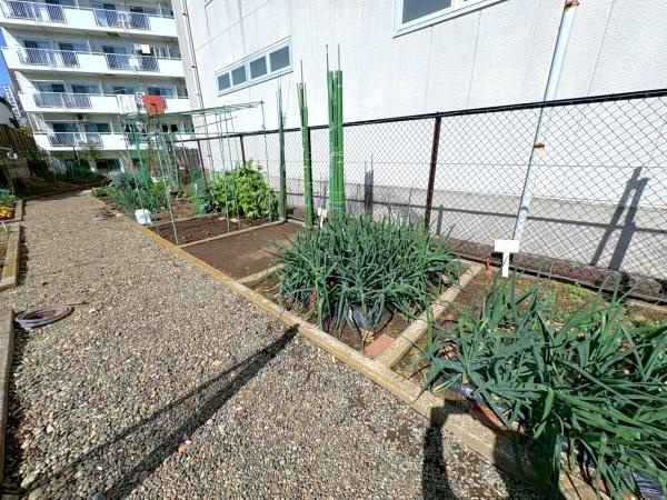 サンパレス下永谷の庭
