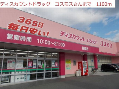 【周辺】 | パストラルⅡ | ディスカウントドラッグコスモスまで1100m