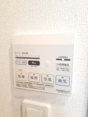 ビジュ・リアンＡのその他