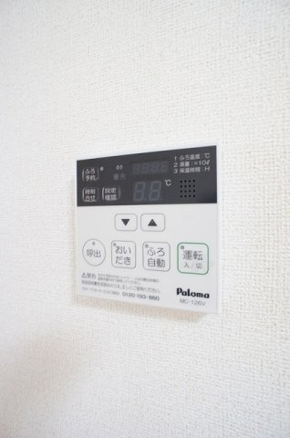 ビッグ　アイランド　Ⅲのその他