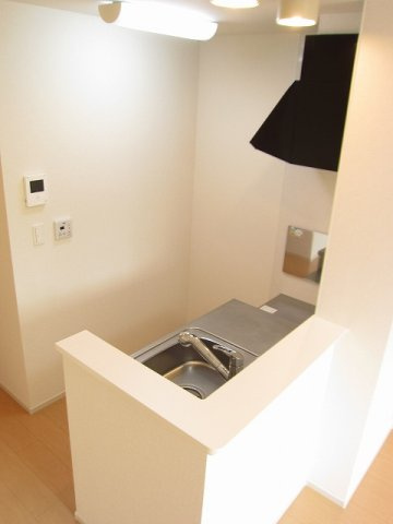 アイリス　Ａのその他