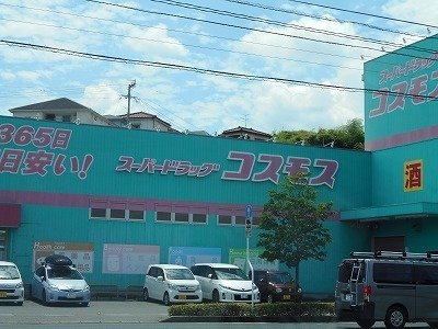 フィオーレ・Ｋの周辺|コスモス宇宿店まで1200m