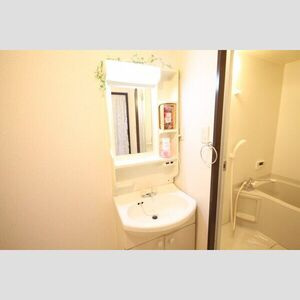 アーバンサイトの洗面所