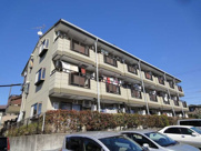 マメゾンＴ・Ｓの画像