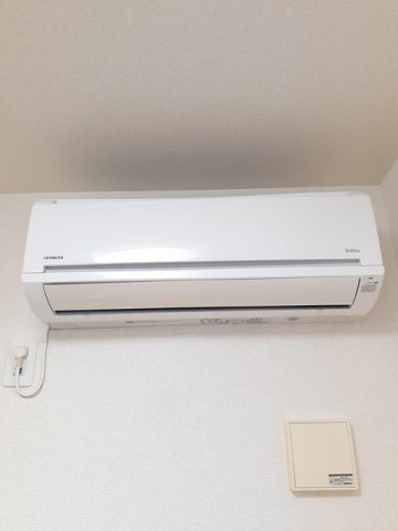 ハイム・プランドールのその他