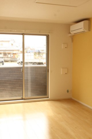 サンライズ桜のその他