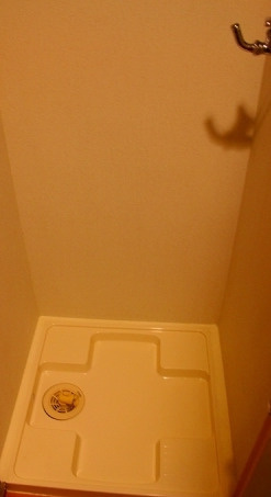 ABCステーションプラザ新宿中井の設備|室内洗濯機置場★（同一仕様写真）