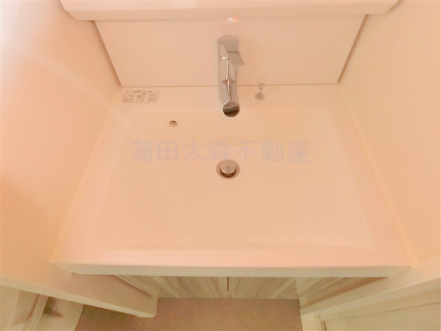 クオリタス蒲田の洗面所