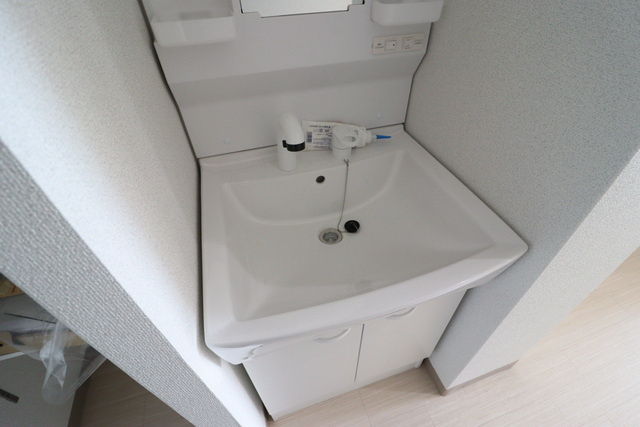 Ｓｅｌｅｎｏ堀越の独立洗面台