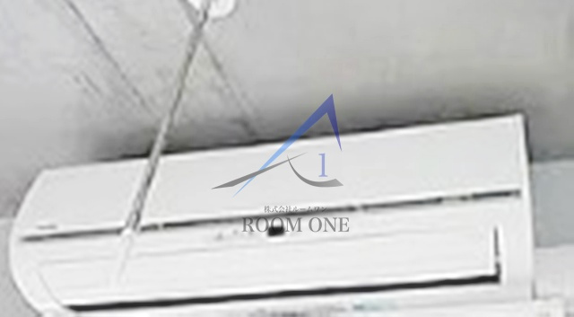 Zeela月島のその他