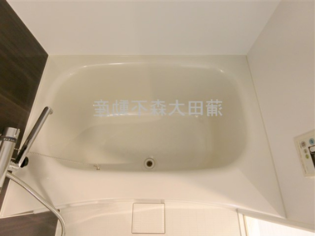 ブレシア多摩川レジデンスの浴室