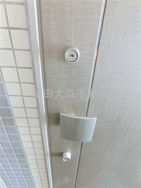 ブレシア多摩川レジデンスの玄関