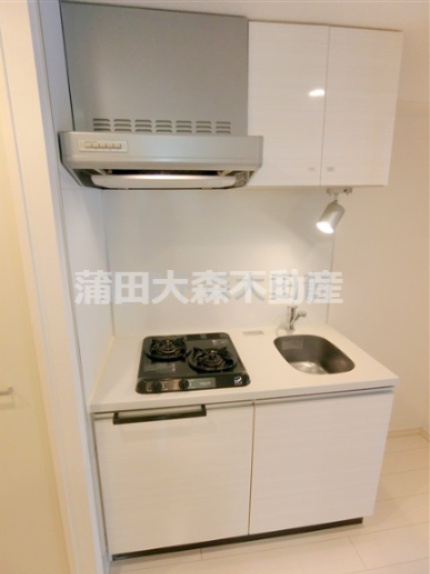 ブレシア多摩川レジデンスのキッチン|2口ガスシステムキッチン
