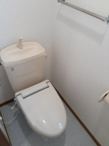 落ち着いた色調のトイレです