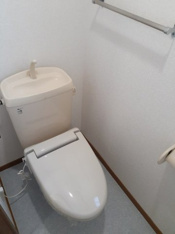 落ち着いた色調のトイレです