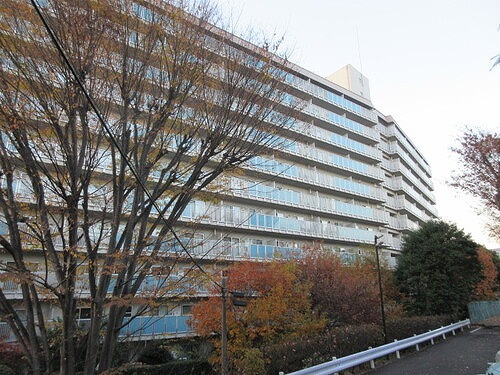 妙蓮寺ハウスＡ棟の外観|建物外観　※2025年12月撮影