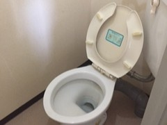 トイレもきれいです