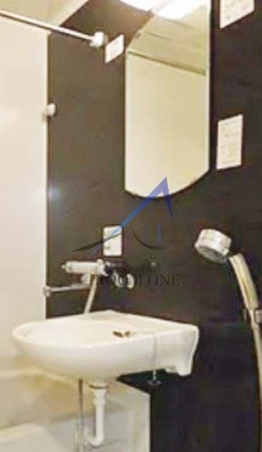 ルーブル南池袋の洗面所|洗面台です。