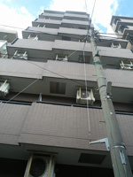 外観もきれいです