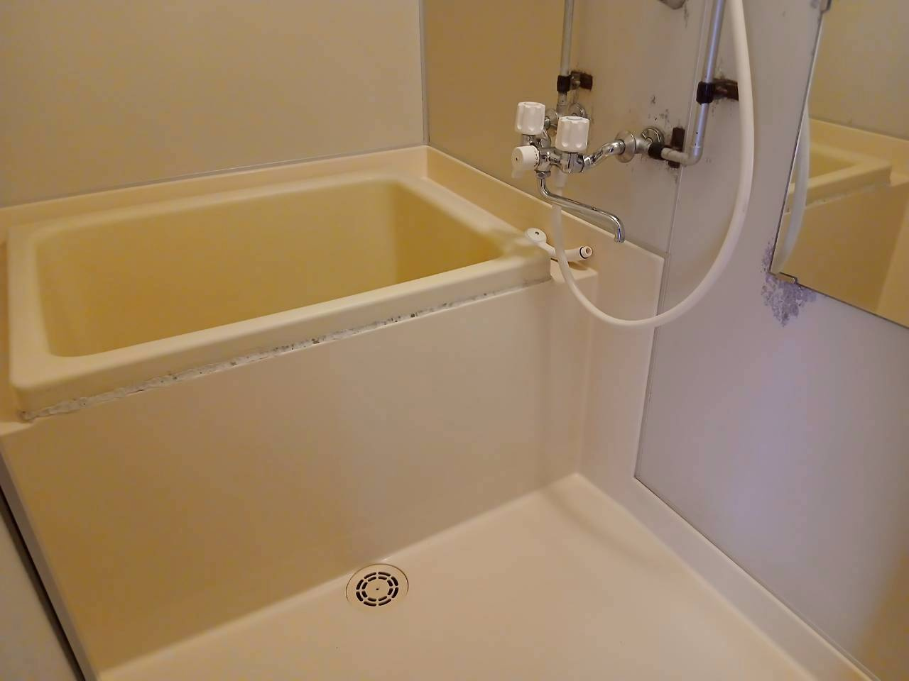 コーポ江花の浴室