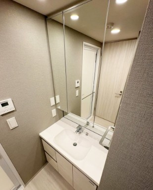 ロイヤルパークス有明の洗面所