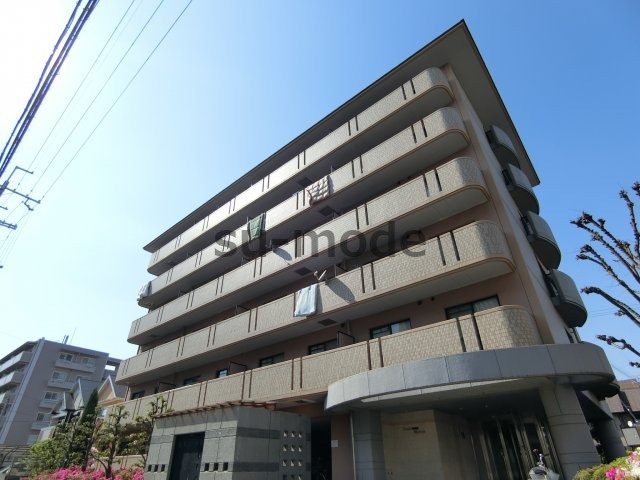 グレイスミシマ