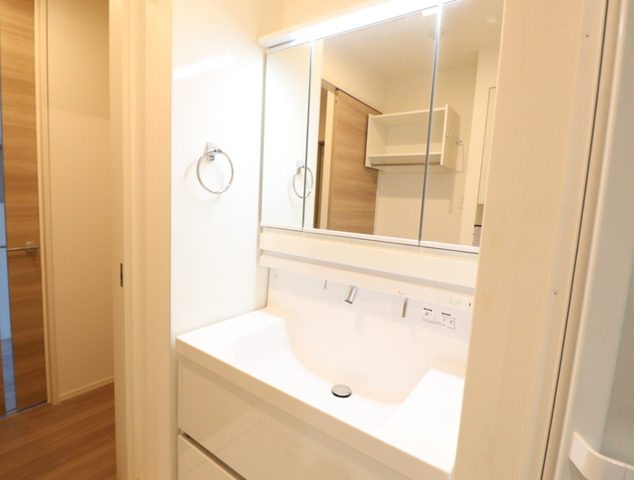 セレブ火の君の独立洗面台