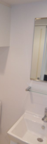 メインステージ多摩川Ⅱの洗面所|洗面脱衣所　独立洗面台