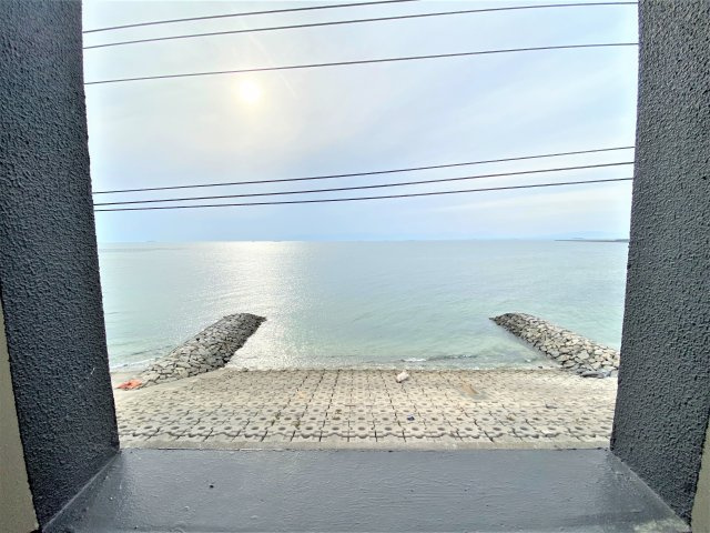 スターハイツ臨海Ｂのその他