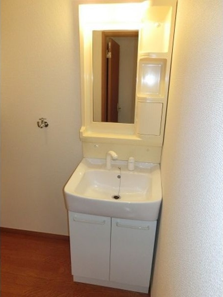 アップルヴィレッジT棟の洗面所