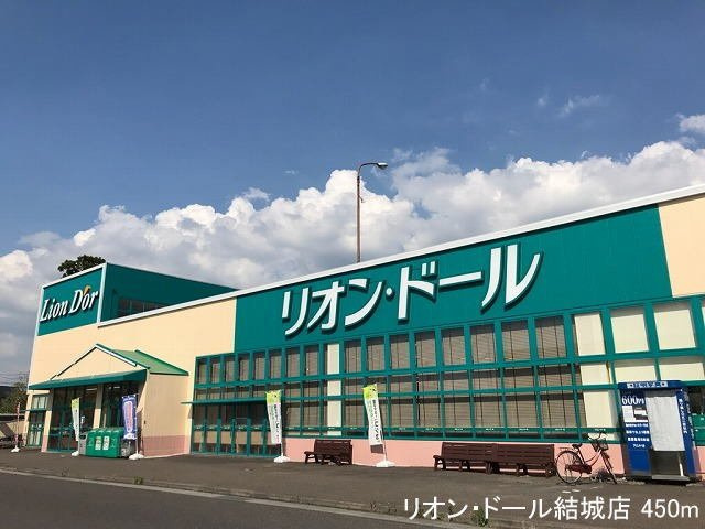 プルミエ　アムール　Ｂの周辺|リオン・ドール結城店まで450m