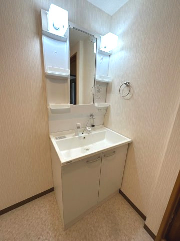 コモ・ド・ありえⅡの洗面所