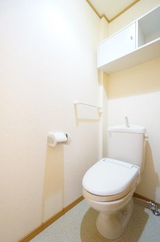 サウスレイクマーサ壱番館　Ⅱのトイレ