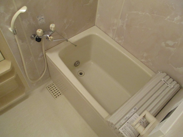 ドミールⅡの浴室