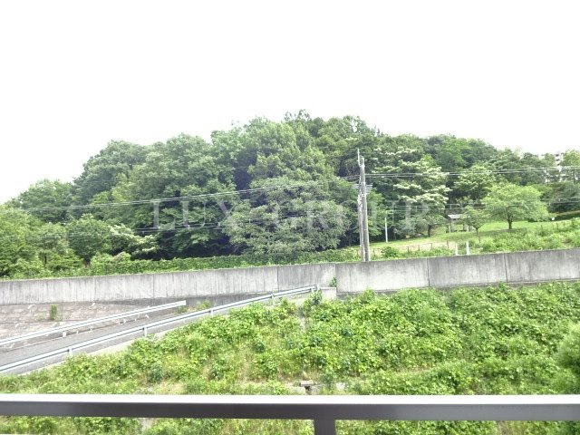 【展望】 | リリー・ヒルズ