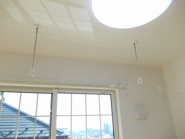 【その他】 | フラン　コリーヌ