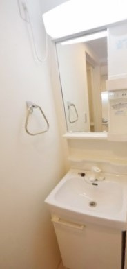 パーク・アジュール春日部の洗面所