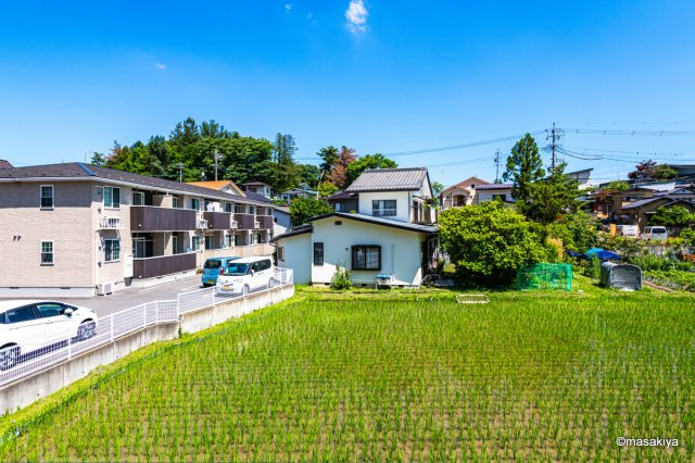 ル・フランⅡの展望