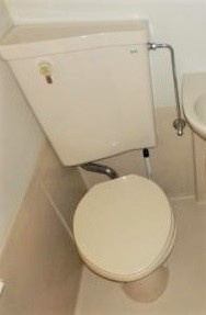 小平市小川東町１丁目の賃貸マンションのトイレ