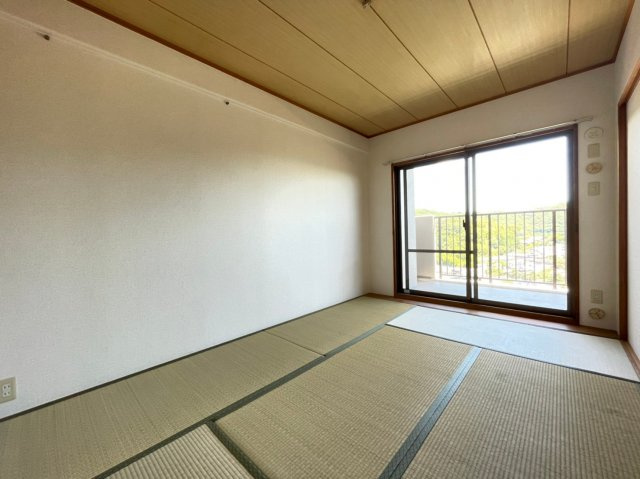 グレーシィ須磨アルテピアⅢ番街2のその他