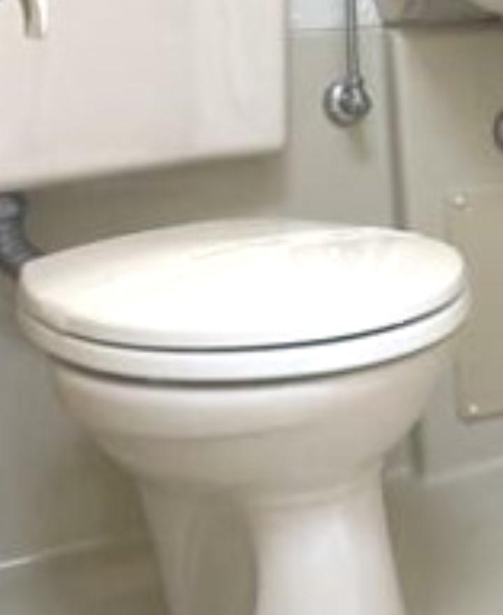 フラッツ本蓮沼のトイレ