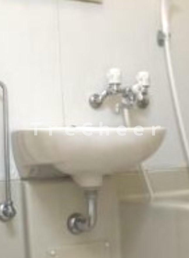 フラッツ本蓮沼の洗面所